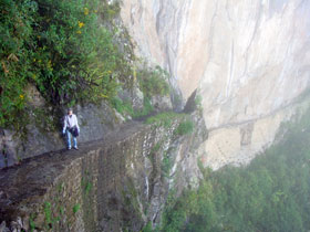 �C���J�̋�2