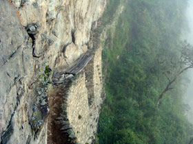 �C���J�̋�3