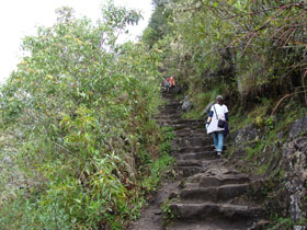 ���C�i�s�`��2