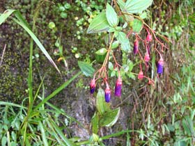 ���C�i�s�`��3