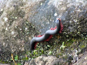 ���C�i�s�`��4