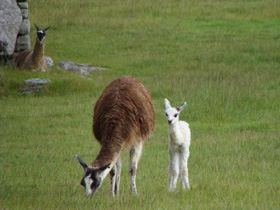 �}�`���s�`��4