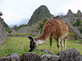 �}�`���s�`��5