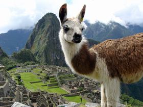 �}�`���s�`��8