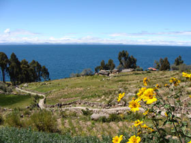 �^�L�[����3