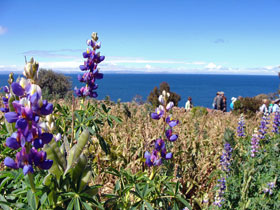 �^�L�[����4