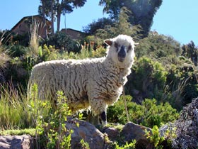 �^�L�[����7