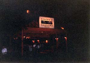 �i�C�g�T�t�@��