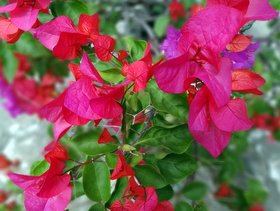 �_���u�b��02