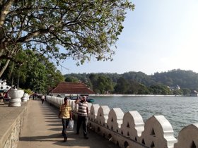 �L�����f�B01