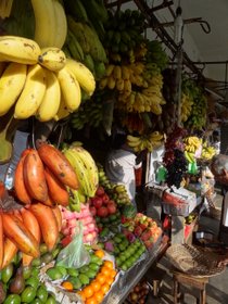 �L�����f�B02