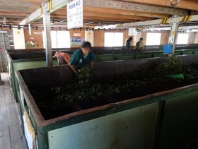 �Q���K�}02