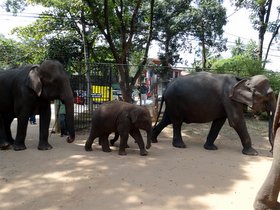 �]�E�ǎ���05