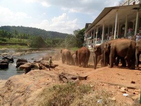 �]�E�ǎ���06