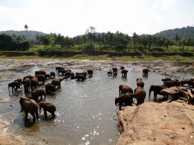 �]�E�ǎ���07