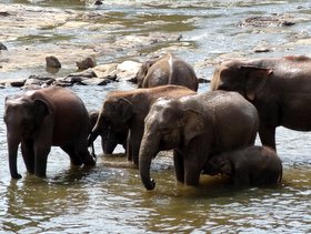 �]�E�ǎ���08