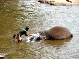 �]�E�ǎ���09