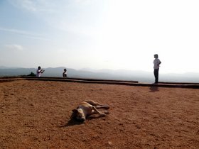 �V�M����11