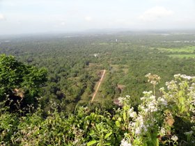 �V�M����12