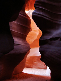 �A���e���[�v�L���j�I��04