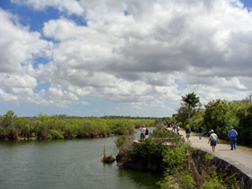 ���C�����p�[��