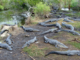 �A���Q�[�^�[2