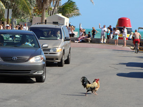 �j���g��2