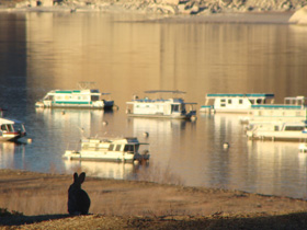 ���C�N�p�E�G��03