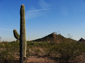 �����A������01