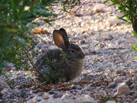 �����A������02