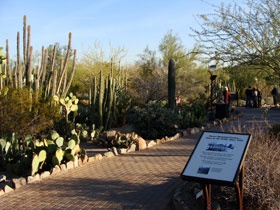 �����A����01