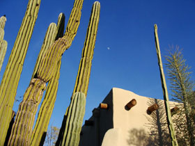 �����A����02