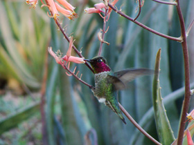 �����A����03