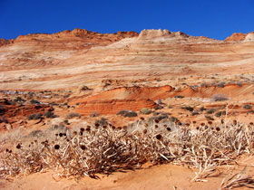 �|�C���g�E��02