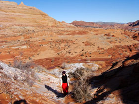 �S�[����02