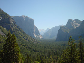 �g���l���r���[